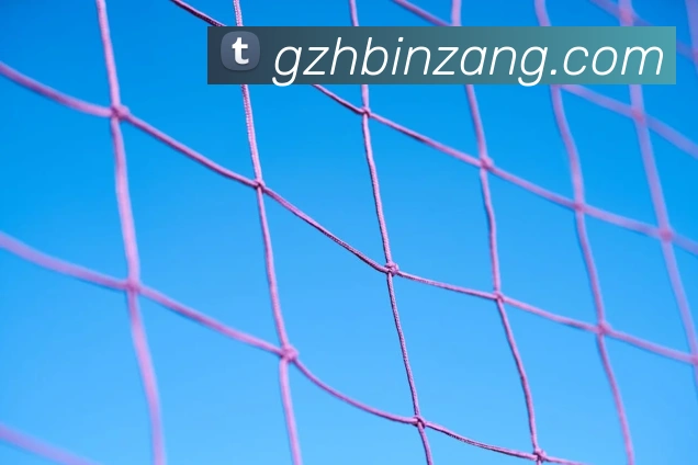 亚搏app登陆服务体系